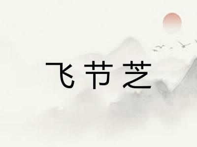 飞节芝