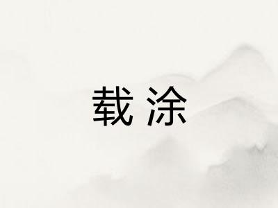 载涂