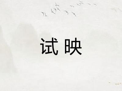 试映