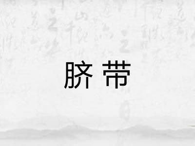 脐带