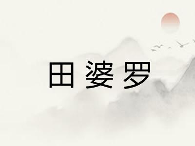 田婆罗
