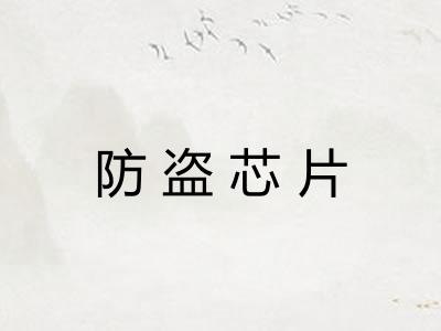 防盗芯片