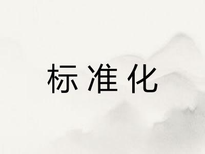 标准化
