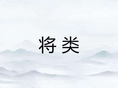 将类