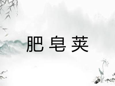 肥皂荚