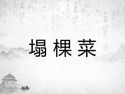 塌棵菜
