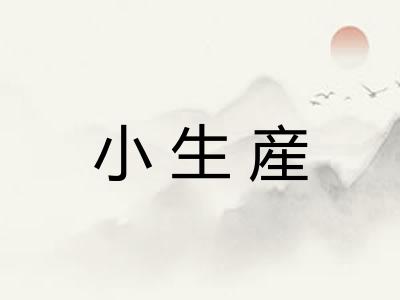 小生産