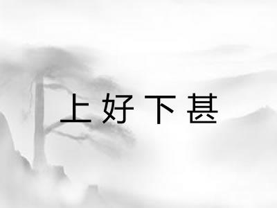 上好下甚