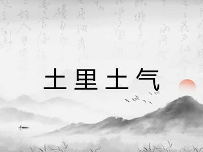 土里土气