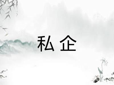 私企