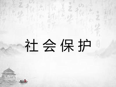 社会保护