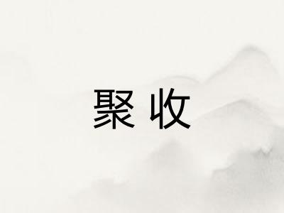 聚收