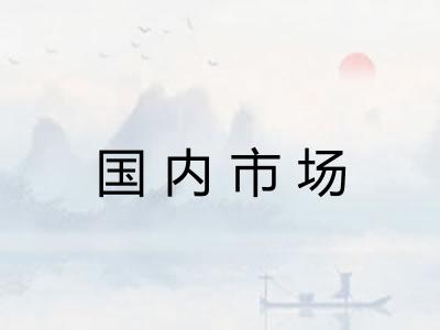 国内市场