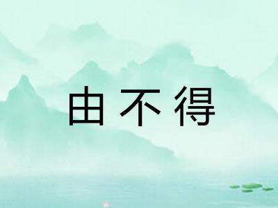 由不得