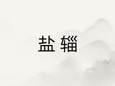 盐辎