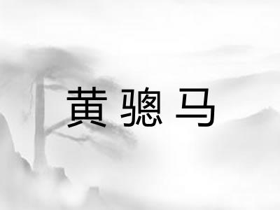 黄骢马