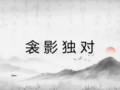 衾影独对
