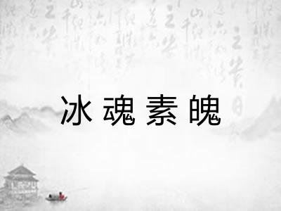 冰魂素魄