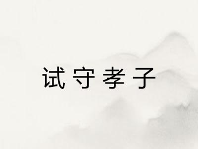 试守孝子