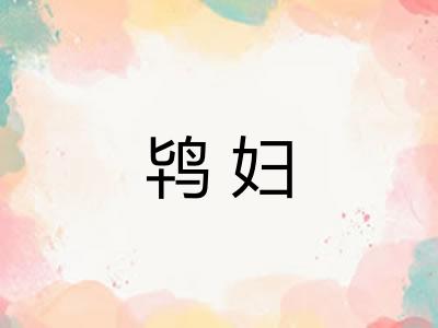 鸨妇