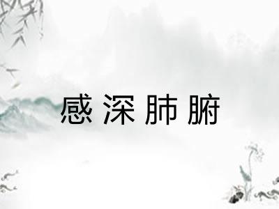 感深肺腑