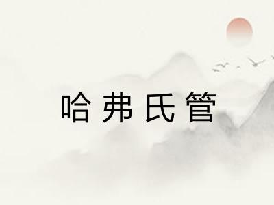 哈弗氏管