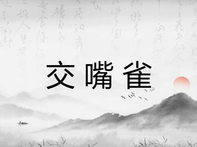 交嘴雀