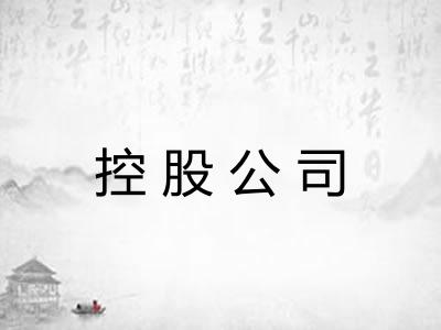 控股公司