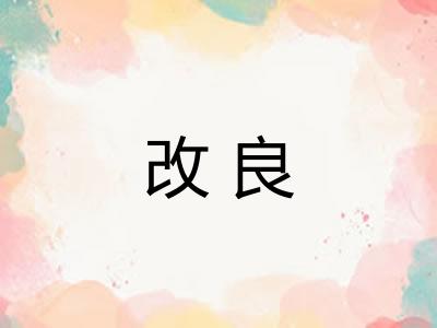 改良