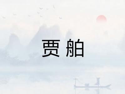 贾舶