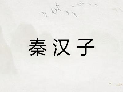 秦汉子