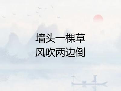 墙头一棵草风吹两边倒
