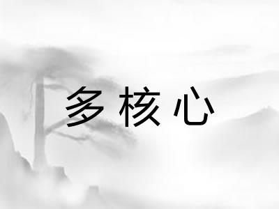 多核心