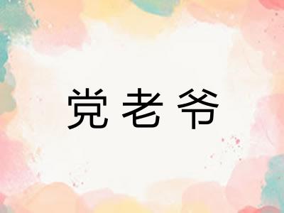 党老爷