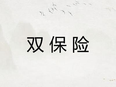 双保险