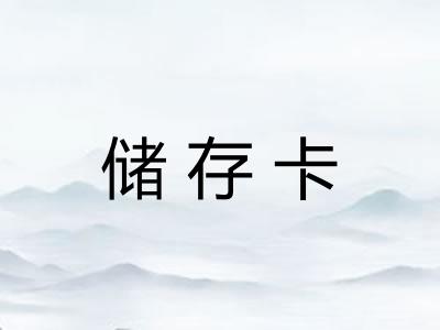 储存卡