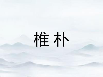 椎朴