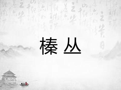 榛丛