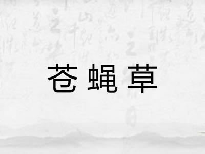 苍蝇草