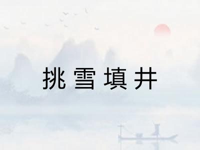 挑雪填井