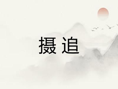 摄追