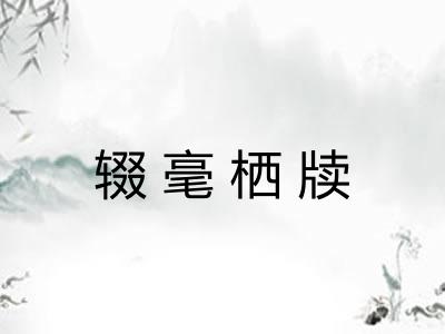 辍毫栖牍