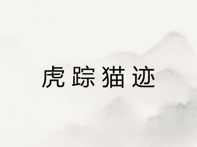 虎踪猫迹