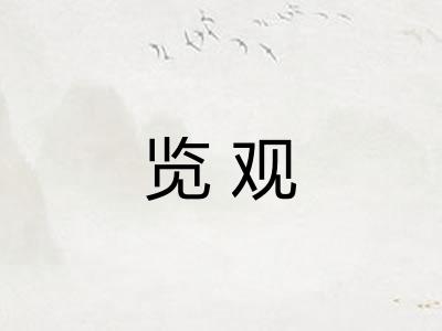 览观