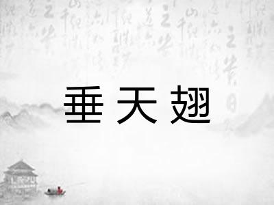 垂天翅