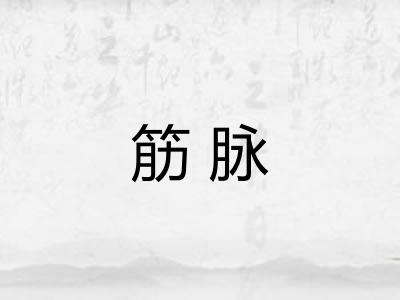 筋脉