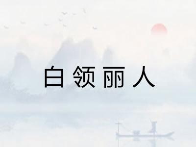 白领丽人