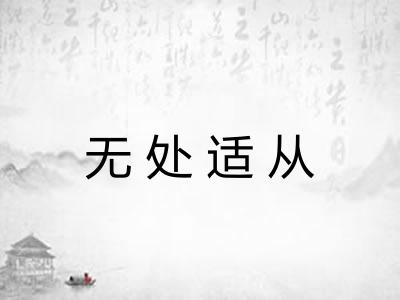 无处适从