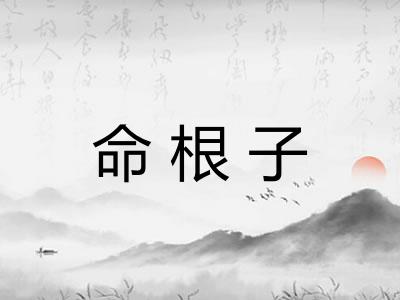 命根子