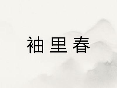 袖里春